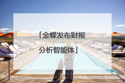 金蝶发布财报分析智能体