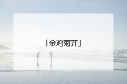 金鸡菊开