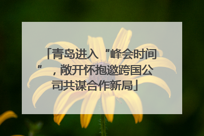 青岛进入“峰会时间”，敞开怀抱邀跨国公司共谋合作新局