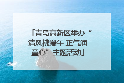 青岛高新区举办“清风拂端午 正气润童心”主题活动