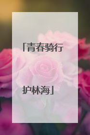 青春骑行护林海