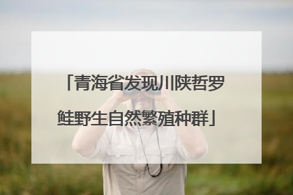 青海省发现川陕哲罗鲑野生自然繁殖种群