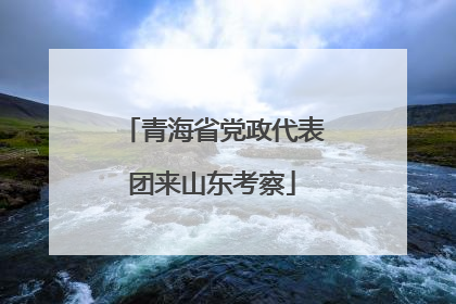 青海省党政代表团来山东考察