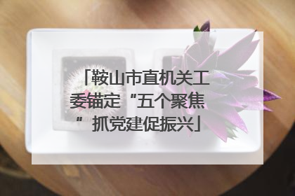 鞍山市直机关工委锚定“五个聚焦”抓党建促振兴