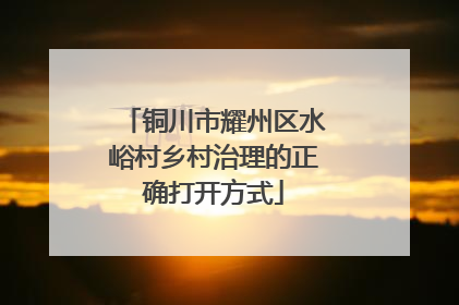 铜川市耀州区水峪村乡村治理的正确打开方式