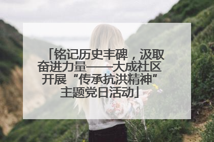 铭记历史丰碑，汲取奋进力量——大成社区开展“传承抗洪精神”主题党日活动