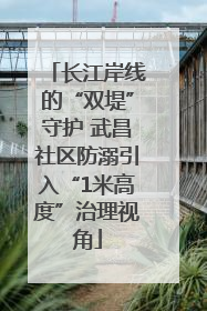 长江岸线的“双堤”守护 武昌社区防溺引入“1米高度”治理视角