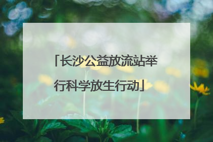 长沙公益放流站举行科学放生行动