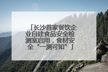 长沙首家餐饮企业自建食品安全检测室启用，食材安全“一测可知”