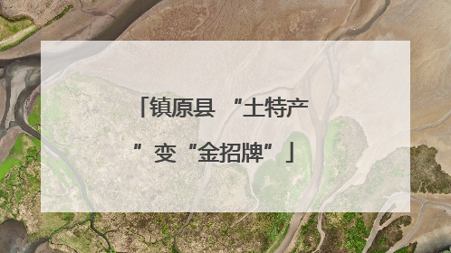 镇原县 “土特产”变“金招牌”
