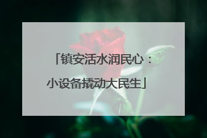 镇安活水润民心：小设备撬动大民生