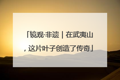 镜观·非遗｜在武夷山，这片叶子创造了传奇