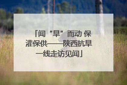 闻“旱”而动 保灌保供——陕西抗旱一线走访见闻