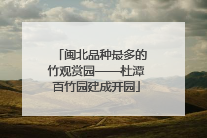 闽北品种最多的竹观赏园——杜潭百竹园建成开园