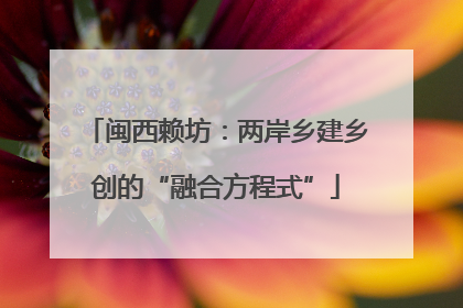 闽西赖坊：两岸乡建乡创的“融合方程式”