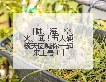 陆、海、空、火、武！五大硬核天团喊你一起来上号！