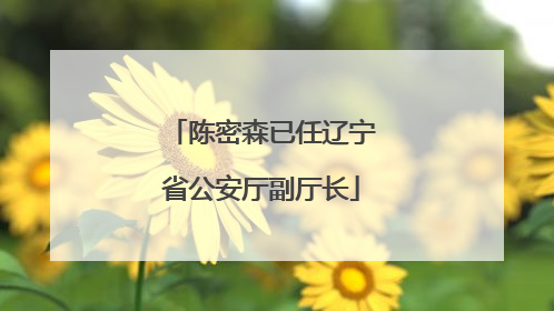 陈密森已任辽宁省公安厅副厅长