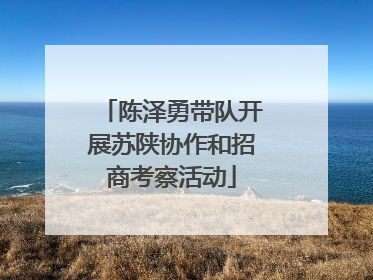 陈泽勇带队开展苏陕协作和招商考察活动
