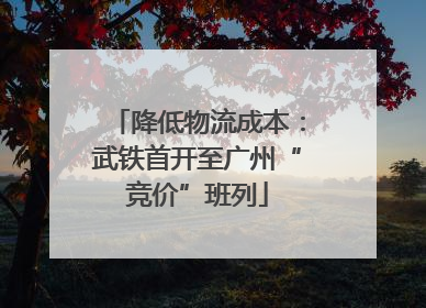 降低物流成本：武铁首开至广州“竞价”班列