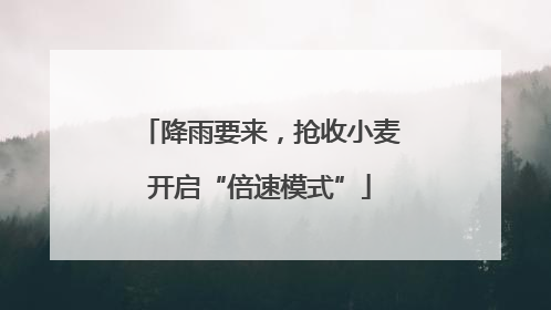 降雨要来，抢收小麦开启“倍速模式”