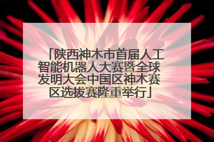 陕西神木市首届人工智能机器人大赛暨全球发明大会中国区神木赛区选拔赛隆重举行