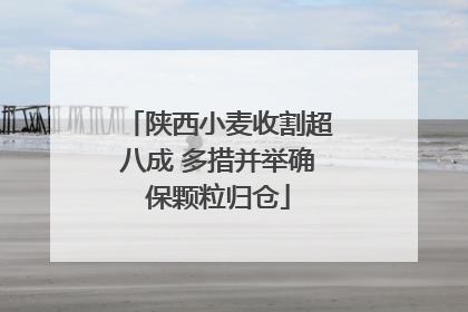 陕西小麦收割超八成 多措并举确保颗粒归仓