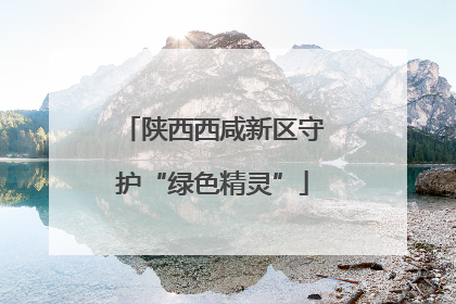 陕西西咸新区守护“绿色精灵”
