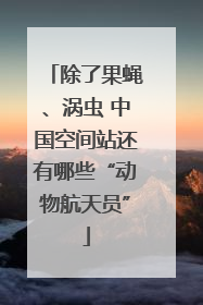 除了果蝇、涡虫 中国空间站还有哪些“动物航天员”