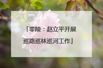 零陵：赵立平开展巡路巡林巡河工作