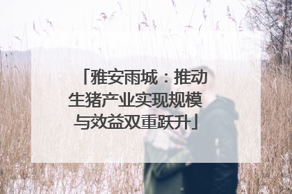 雅安雨城：推动生猪产业实现规模与效益双重跃升