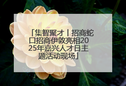 集智聚才丨招商蛇口招商伊敦亮相2025年嘉兴人才日主题活动现场