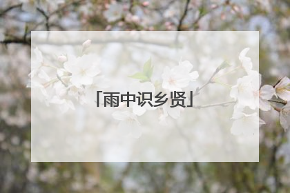 雨中识乡贤