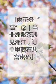 雨花登“高”②｜当非洲紫茶遇见湘江，订单里藏着共富密码