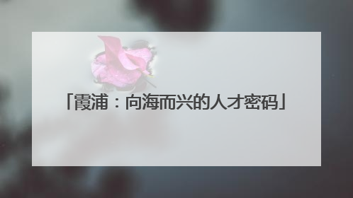 霞浦：向海而兴的人才密码