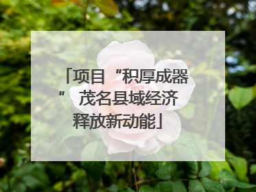 项目“积厚成器” 茂名县域经济释放新动能