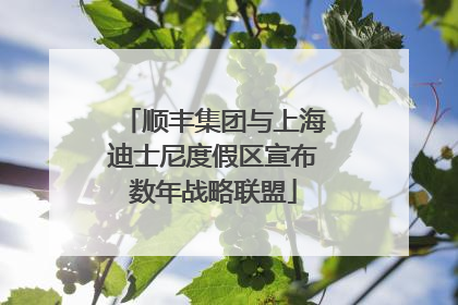 顺丰集团与上海迪士尼度假区宣布数年战略联盟