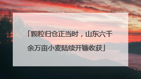 颗粒归仓正当时，山东六千余万亩小麦陆续开镰收获