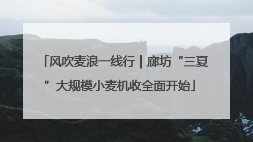 风吹麦浪一线行｜廊坊“三夏”大规模小麦机收全面开始