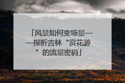 风景如何变场景——探析吉林“赏花游”的流量密码