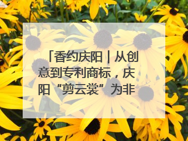 香约庆阳｜从创意到专利商标，庆阳“剪云裳”为非遗市场化探路