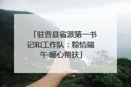 驻曹县省派第一书记和工作队：粽情端午·暖心帮扶