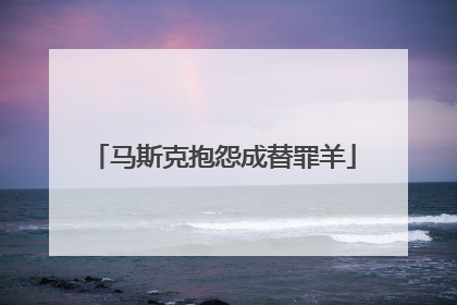 马斯克抱怨成替罪羊
