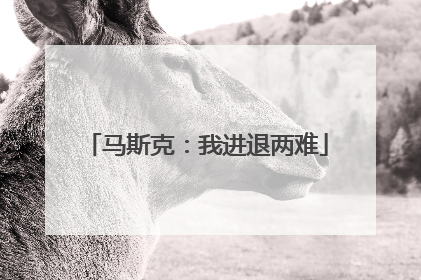 马斯克：我进退两难