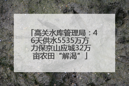 高关水库管理局：46天供水5535万方 力保京山应城32万亩农田“解渴”