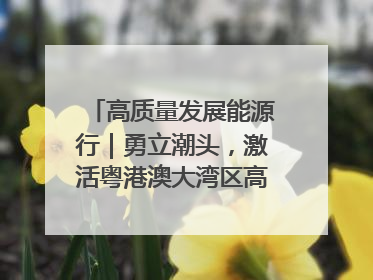高质量发展能源行｜勇立潮头，激活粤港澳大湾区高质量发展动力源