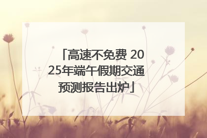 高速不免费 2025年端午假期交通预测报告出炉