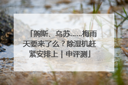 齁斯、乌苏……梅雨天要来了么？除湿机赶紧安排上｜申评测