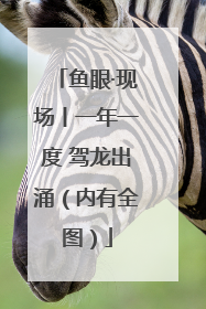 鱼眼·现场丨一年一度 驾龙出涌（内有全图）