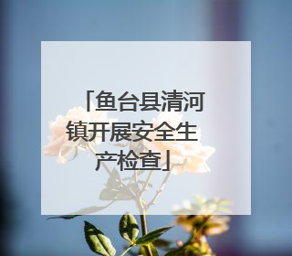 鱼台县清河镇开展安全生产检查