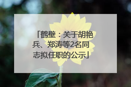 鹤壁：关于胡艳兵、郑涛等2名同志拟任职的公示